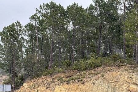 La Comunitat Valenciana obri les portes al congelador àrtic: l'hivern podria arribar abans del que es preveu