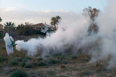 Sagunt continua aplicant tractaments per a controlar la proliferació de mosquits