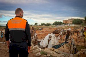 "Lo he perdido todo, pero gracias a ellos puedo contarlo": el emotivo rescate de unos ancianos y su perro en Torrent durante la DANA