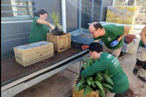 La especialidad de jardinería del Taller de Empleo Agenda 2030 III de Burjassot lleva a cabo trabajos de mejora de las zonas verdes