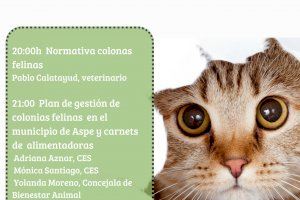 Aspe organiza una formación sobre colonias felinas