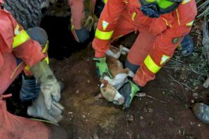 Rescat èpic en el Garbí: un helicòpter salva a un home i el seu gos atrapats en un punt impossible