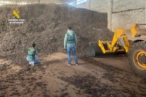 Escándalo en el campo: hallan una montaña de 50 toneladas de algarroba ilegal en Vinaròs