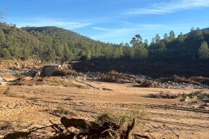 La rehabilitación del puente de acceso al Reatillo será una realidad en breve