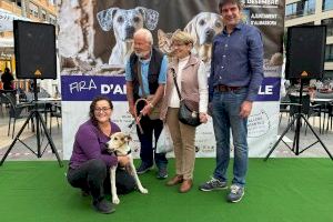 Almassora celebra la Feria de Adopción Responsable