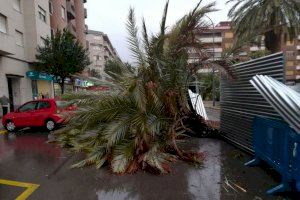 Domingo de pedres en les butxaques: mapes alerten de ràfegues de vent de més de 130 km/h en la Comunitat Valenciana