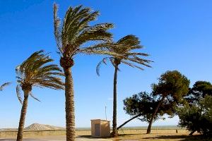 Lunes gélido en la Comunitat Valenciana: temperaturas bajo cero y un viento imparable