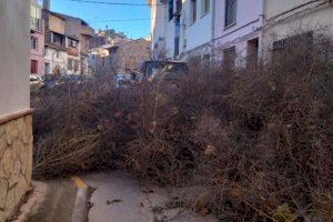 Eixir de casa és tot un repte en aquest poble de Castelló: un tumbleweed envaeix els seus carrers