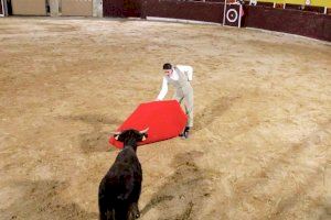 La Peña Sense DNI da ejemplo: solidaridad en una tarde de pasión taurina en Oropesa