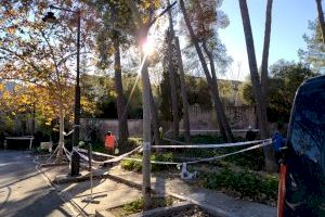 Alcoi porta a terme una tala d'urgència prop d'El Romeral