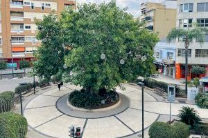 Torrent enciende la magia de la solidaridad con el Árbol del Voluntariado