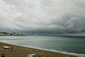 És una de les notícies que més esperen molts valencians i que va en el nostre caràcter mediterrani