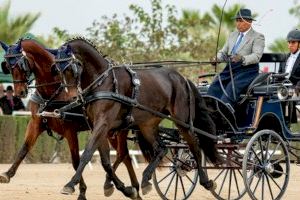 El burrianense Sebastián Sabater triunfa en el Campeonato de España de Enganches