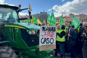 ASAJA Alicante retoma las movilizaciones frente al Ministerio de Agricultura