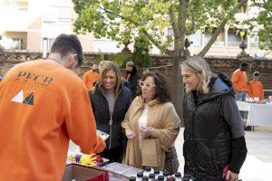 ECO Les Aules s'ompli de creativitat amb les creacions de l'alumnat del CEE Penyeta Roja