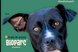 Esperanzadora “última llamada” para el 25º Desfile de perros en busca de un hogar de A.U.P.A. y Fundación BIOPARC