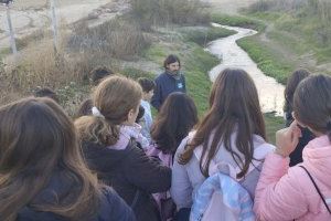 Los alumnos del CEIP Sant Llorenç Màrtir y un grupo de voluntarios restauran las dunas de la playa de Massalfassar