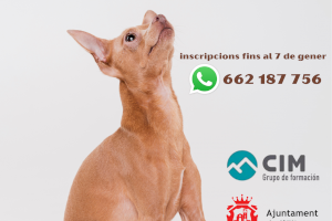 L’Eliana organiza un nuevo curso gratuito de Educación Canina en enero