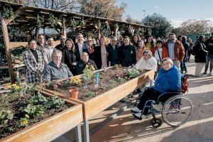 Castellón ya dispone del primer huerto urbano accesible de la provincia situado en el barrio de San Lorenzo