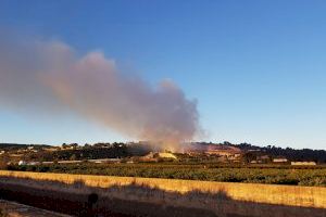 El incendio en Alberic obliga a desalojar residencias y lanza recomendaciones urgentes