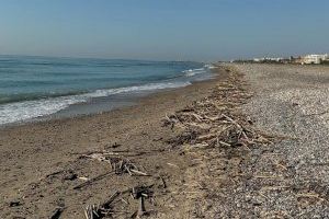 “Nos sentimos abandonados”: denuncian la falta de medidas para salvar las playas de Sagunto