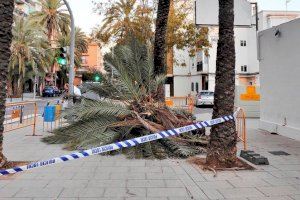 Una 'ponentà' obliga a activar l'avís taronja i groc en la Comunitat Valenciana: aquest és el mapa de zones afectades