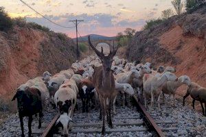 La Comunitat Valenciana tendrá una nueva vía verde y pierde una línea de tren