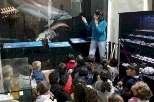 Más de 2.000 personas han visitado el Museo de Historia Natural de Torrevieja con motivo de la XVI Semana de la Ciencia