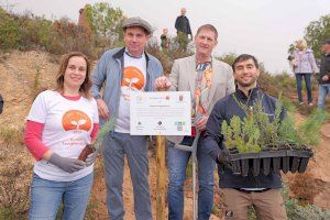 Xixona intensifica la reforestación de su entorno para favorecer la absorción de agua de lluvia