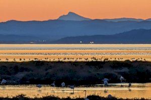 La impresionante foto del atardecer en el Delta del Ebro que muestra Penyagolosa a más de 100 km de distancia