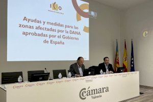 El Pleno de Cámara Valencia aprueba el presupuesto para el ejercicio 2025