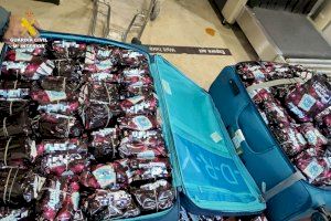 Sorpresa en el aeropuerto de Valencia: detienen a hombre con más de 3.000 paquetes de tabaco de mascar ocultos