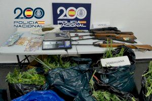 Un continuo trasiego de vehículos y desconocidos destapa un bosque de marihuana escondido entre Elda y Sax