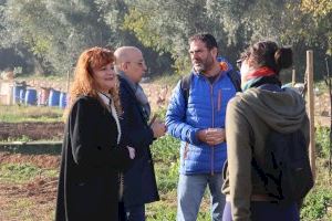 Onda inaugura un nuevo espacio para fomentar la salud mental en los Huertos Urbanos Intergeneracionales