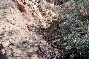 Los agricultores autónomos de Requena-Utiel comienzan a recibir las ayudas de la Generalitat Valenciana por los daños de la DANA