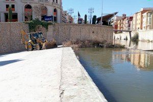 Medio Ambiente limpia el cauce del río Segura a su paso por el casco urbano de Orihuela