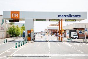 El Consejo de Mercalicante aprueba destinar 3,7 millones a la compra de suelo para ampliar sus instalaciones