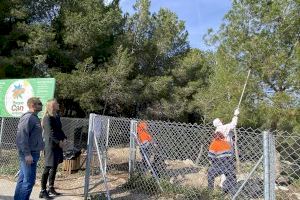 Comienza la campaña hibernal contra la Procesionaria del Pino