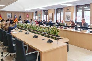 El Pleno Municipal aprueba por mayoría la ampliación del contrato de patrocinio municipal con el Club Deportivo Eldense