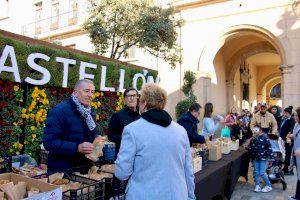 Castellón despide el 2024 repartiendo 4.000 bolsitas de clementinas de la suerte