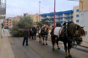 La magia de Sant Antoni Abad llega a Peñíscola: rifas, procesiones y la tradicional bendición de animales