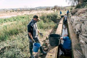 Desastre en los ecosistemas valencianos tras la DANA: el inesperado salvamento de una joya ecológica tras el desbordamiento del Magro