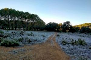 Prepárate para el radical cambio de tiempo: de una mestralada a 100 km/h a temperaturas bajo cero en pocas horas en la Comunitat Valenciana