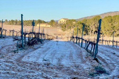 La Comunitat Valenciana espera pruinas en otro día de frío intenso y se activan nuevos avisos