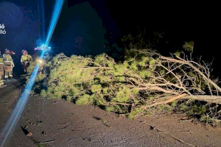 Mínima tropical en ple mes de gener, màximes de quasi 30 °C i ratxes de 150 km/h: Herminia deixa registres impactants en la C. Valenciana