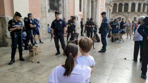 València acull la major trobada d'unitats canines policials i d'emergències