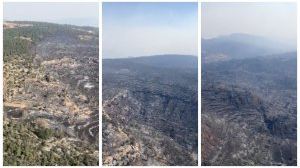 El desastre patrimonial y natural que queda tras el incendio que arrasa el interior de Castellón