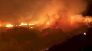 Declarado un incendio junto al río Magro en Catadau, Valencia