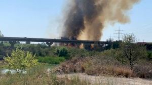 VÍDEO | La Guardia Civil corta la N-340 a la altura de Almazora por un incendio de vegetación que se ha desatado esta mañana