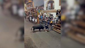 Con pronóstico reservado el joven herido tras la grave cogida en los ‘bous al carrer’ de Calp